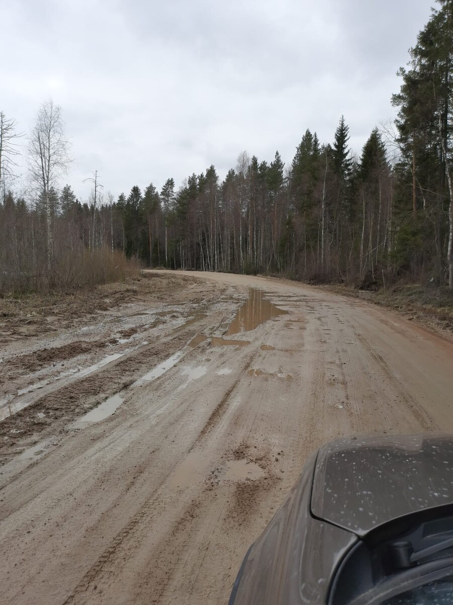 Километры ада — почему карельские дороги в Суоярвском районе в удручающем  состоянии. Побывала дома, рада, что вернулась живой и невредимой |  Блогерство на пенсии | Дзен