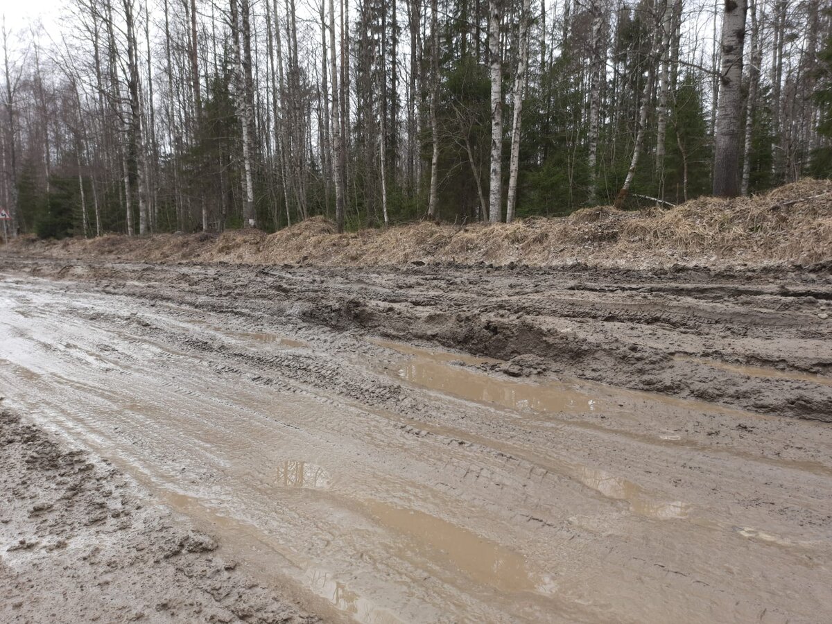 Километры ада — почему карельские дороги в Суоярвском районе в удручающем  состоянии. Побывала дома, рада, что вернулась живой и невредимой |  Блогерство на пенсии | Дзен