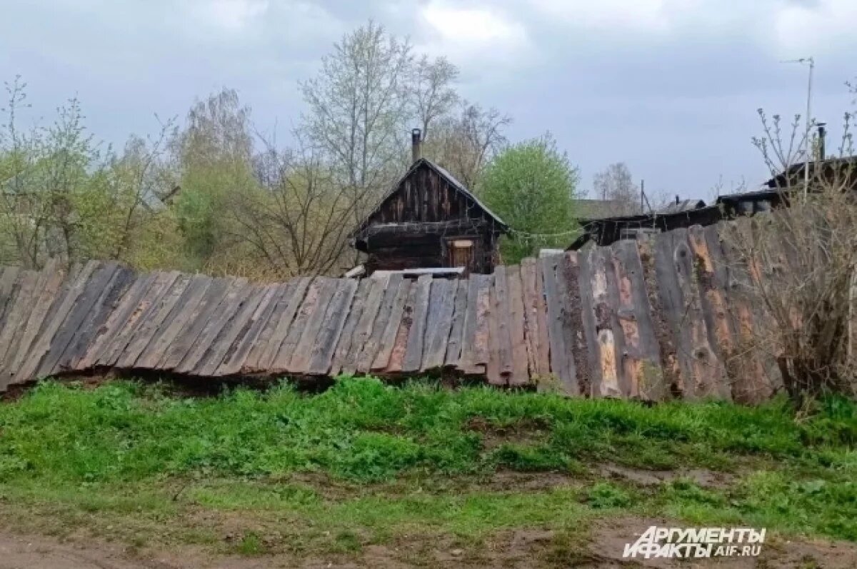 В Пермском крае сильный ветер сносит деревья, заборы и остановки | АиФ–Пермь  | Дзен