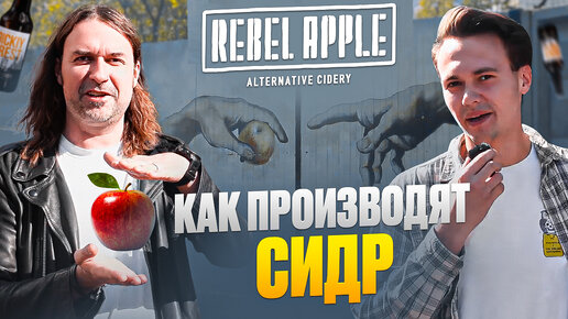 Как производят сидр | обзор сидрерии REBEL APPLE – от яблока до бутылки