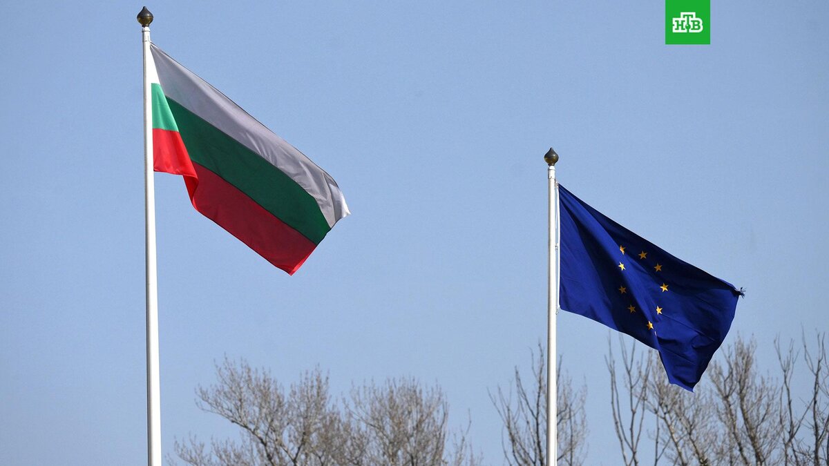    Фото: РИА Новости © 2024, Илья Питалев