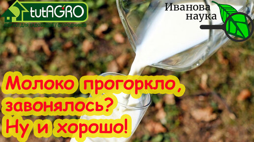 МОЛОКО НЕ КИСНЕТ, стало горькое, вонючее? Это просто спасение! Горклое молоко - какая от него польза.