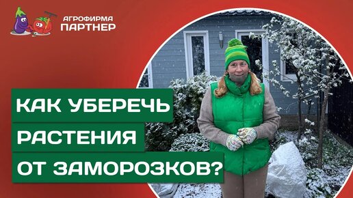 КАК ЗАЩИТИТЬ РАССАДУ И ДРУГИЕ РАСТЕНИЯ В САДУ ОТ ВОЗВРАТНЫХ ЗАМОРОЗКОВ