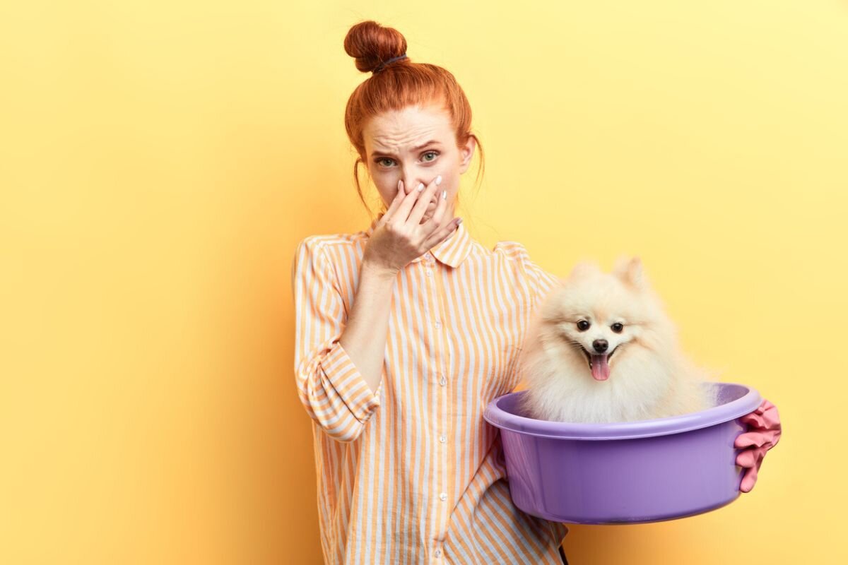 Почему моя собака воняет?