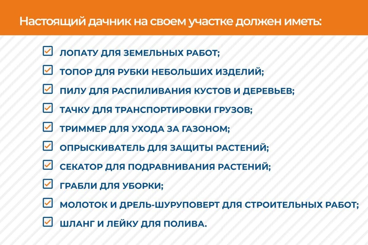 Топ-10 самых нужных инструментов на даче | Бигам | Инструменты и техника |  Дзен