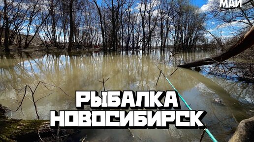 РЫБАЛКА В НОВОСИБИРСКЕ 2024 | СУХАРКА |ЕЛЬЦОВКА