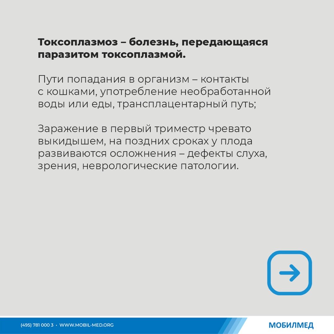 Зачем и кому необходимо сдавать TORCH-инфекции? | МобилМед - твоя  лабораторная станция! | Дзен