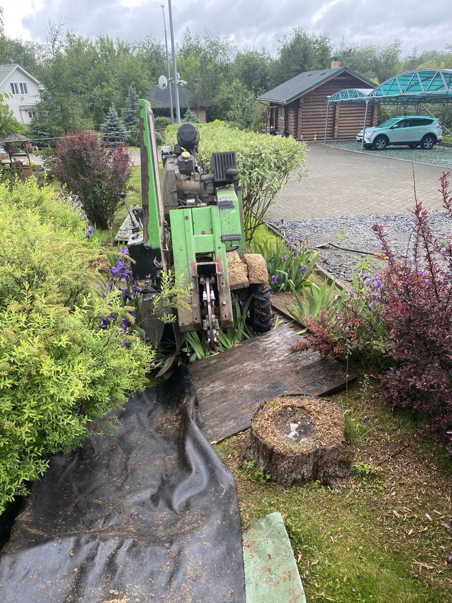 Фрезерование пней без грязи и мусора