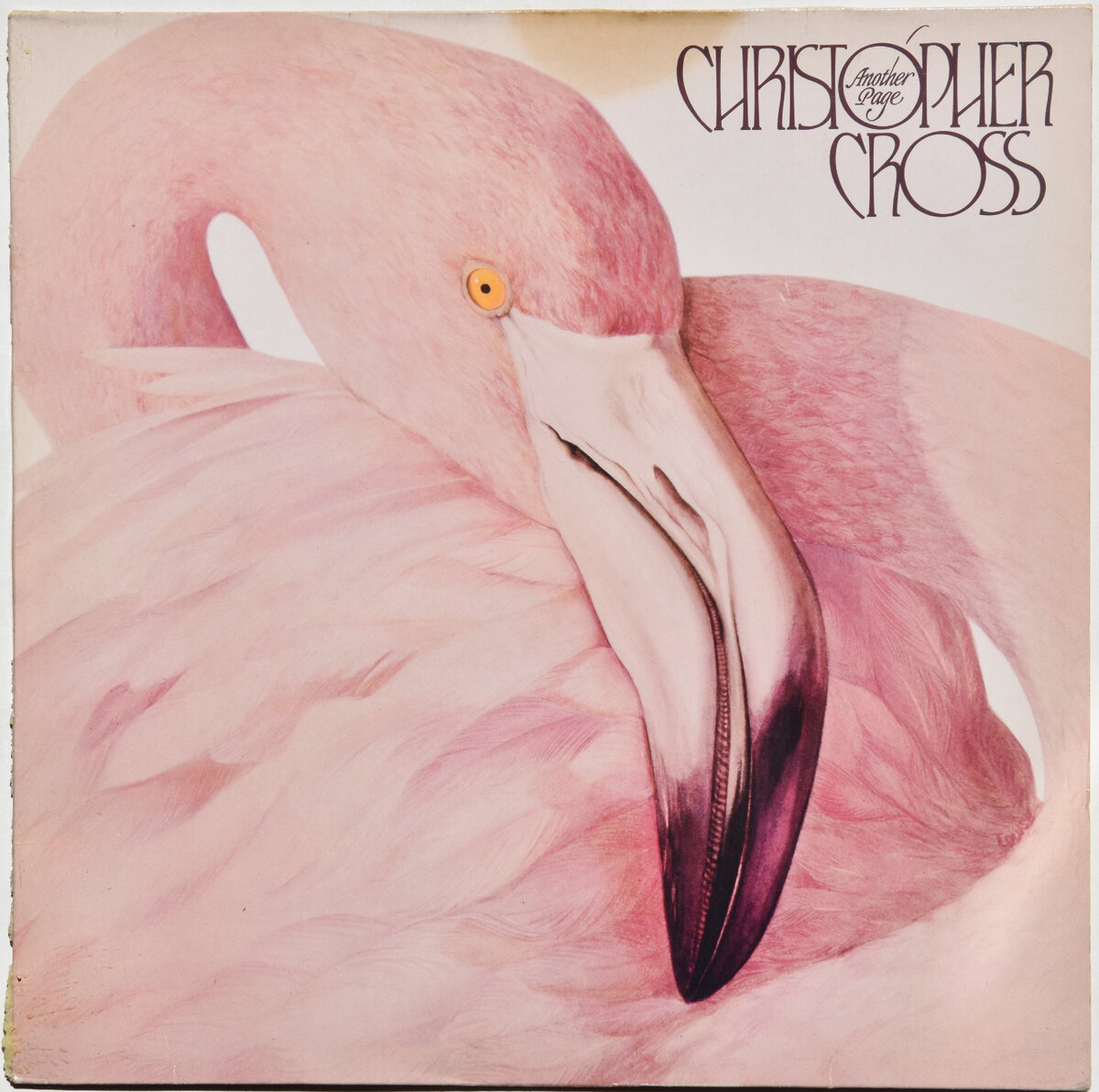 Изображение фламинго - маниакальное украшение всех альбомов Кристофера.