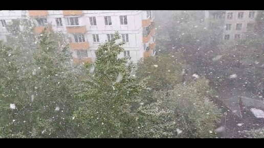 майский снегопад в Москве. 8 мая 2024г.