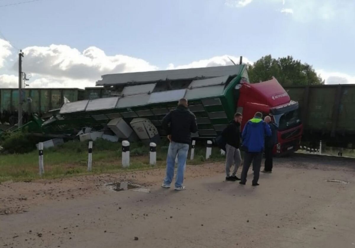 В Воронежской области в большегруз с поросятами врезался поезд |  «Воронежские новости» | Дзен