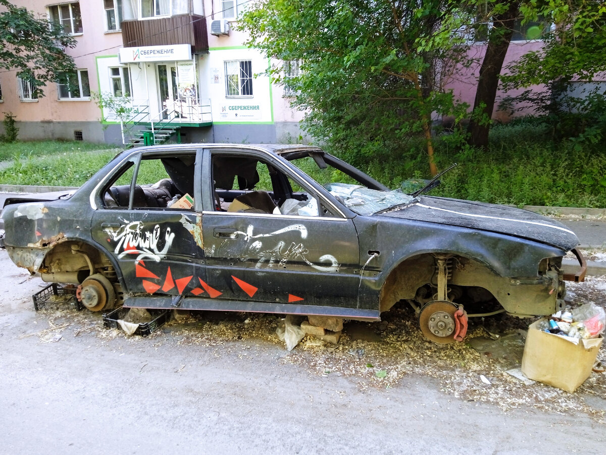 Почему мы равнодушны к грязи вокруг нас и кто должен нам в нашем же доме  навести порядок? | Калейдоскоп Х-фактов | Дзен