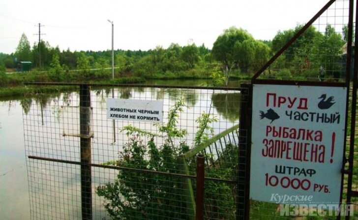 Искусственное озеро на участке. Парк куркино вологда. Мичуринские пруды екатеринбург рыбалка. Большой искусственный водоем. Петрушино ленинградская область.