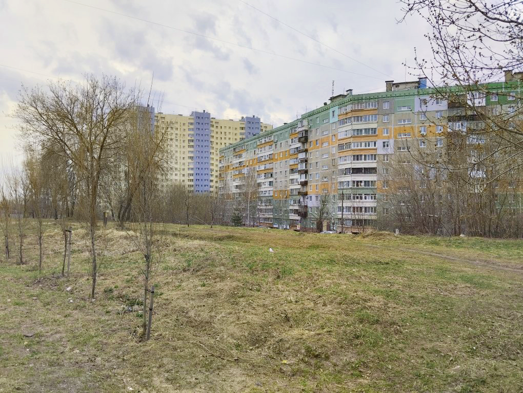 Фото: Анна Синаревская