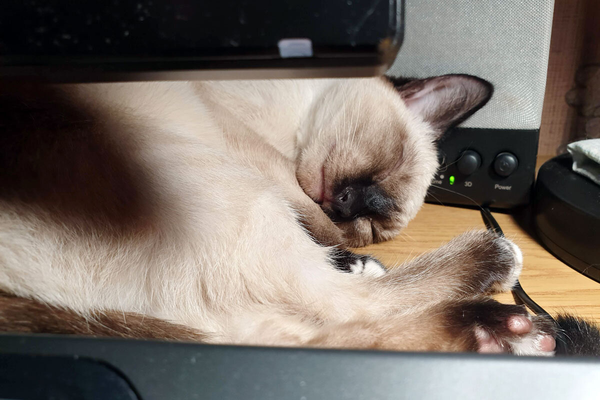 Многие считают меня экспертом в этой области, потому что я могу спать по двадцать часов в день и удивляться простым мелочам