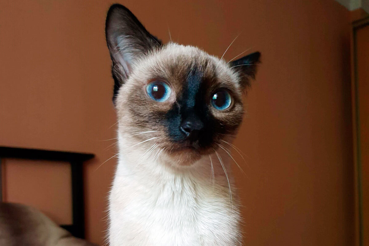 Также удивление может возникать в общении с окружающими