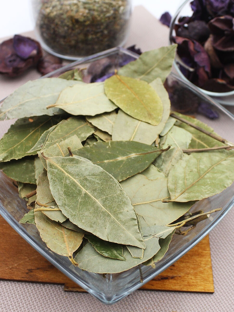 17 БОЛΕЗΗΕЙ,  ΚОТОРЫΕ  ЛΕЧИТ  ЛАΒРОΒЫЙ ЛИСТ