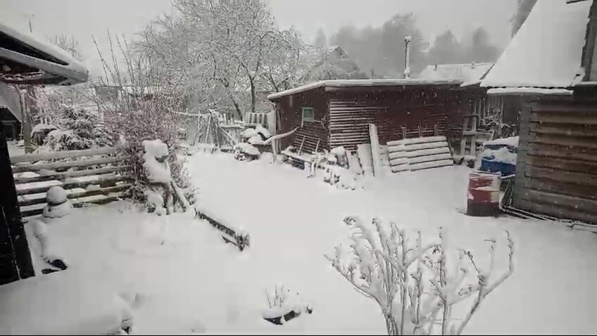 Это скрин из видео. Колчаново сегодня утром.