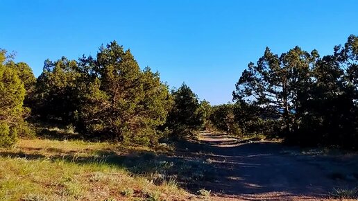 Сегодня вечером. Первый канал