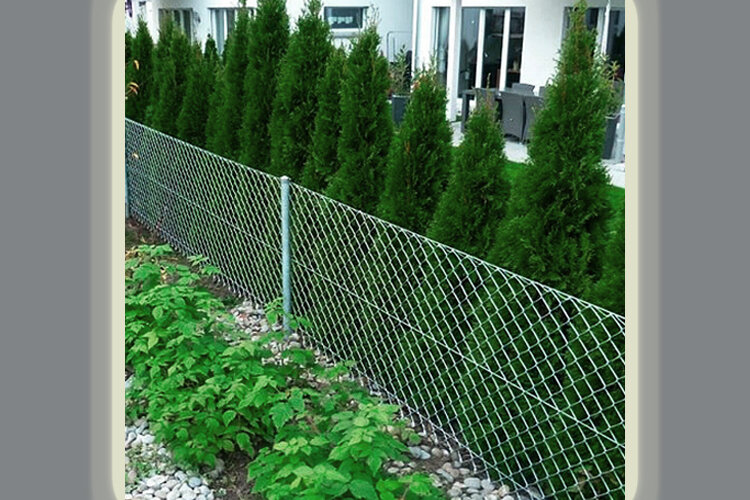Забор из сетки рабица устанавливают довольно часто, ограждая территорию дачи или частного дома.-2