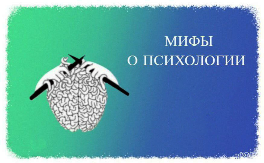 Взято из открытых источников интернета