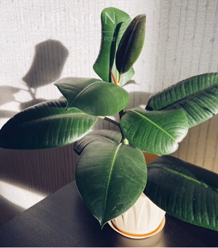 Пример взят из Pinterest