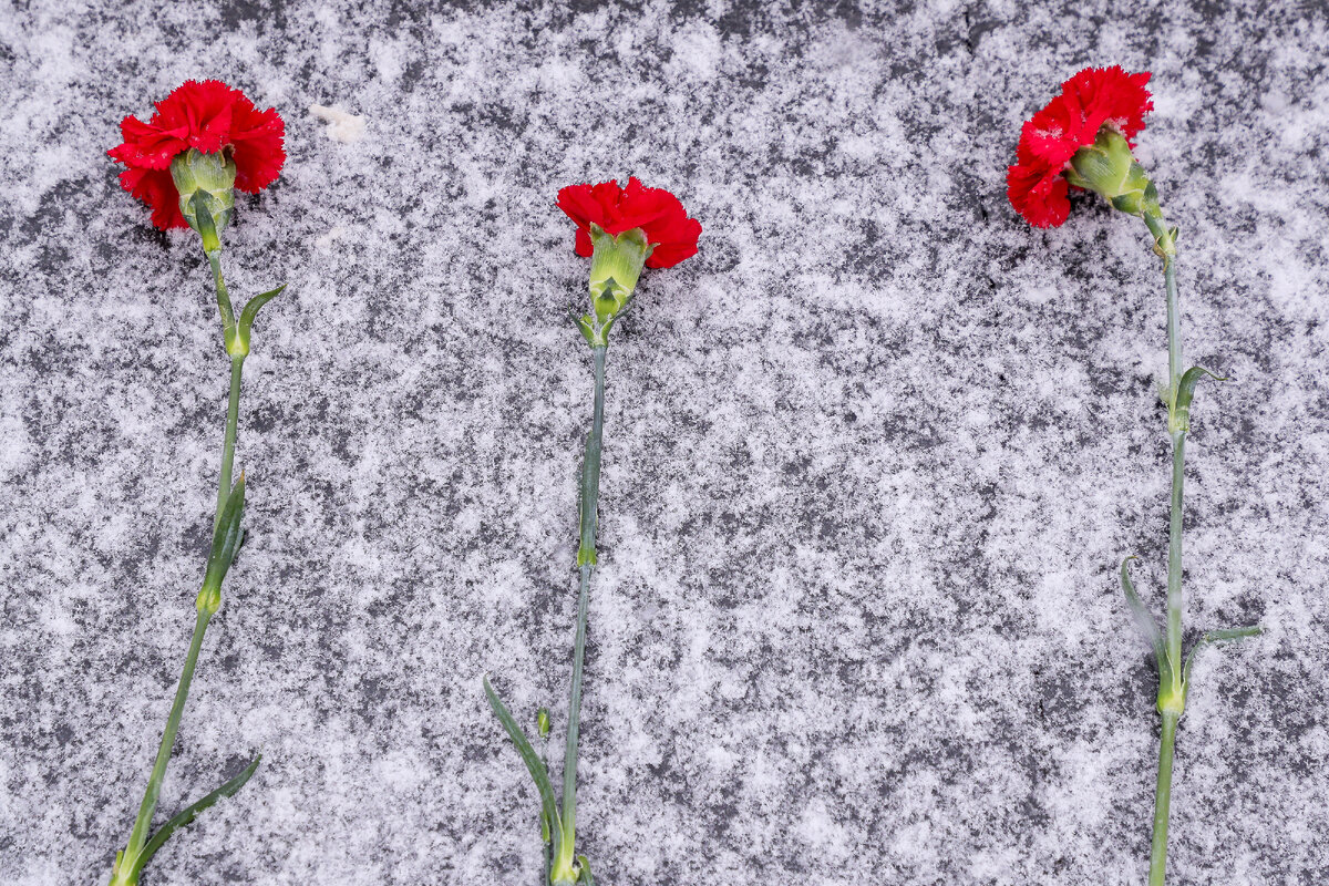 В связи с празднованием Дня Победы татарстанцев ожидают четырехдневные выходные. Вопреки ожиданиям, погода в эти дни не побалует жителей региона весенним теплом. Фото: © Салават Камалетдинов / «Татар-информ»