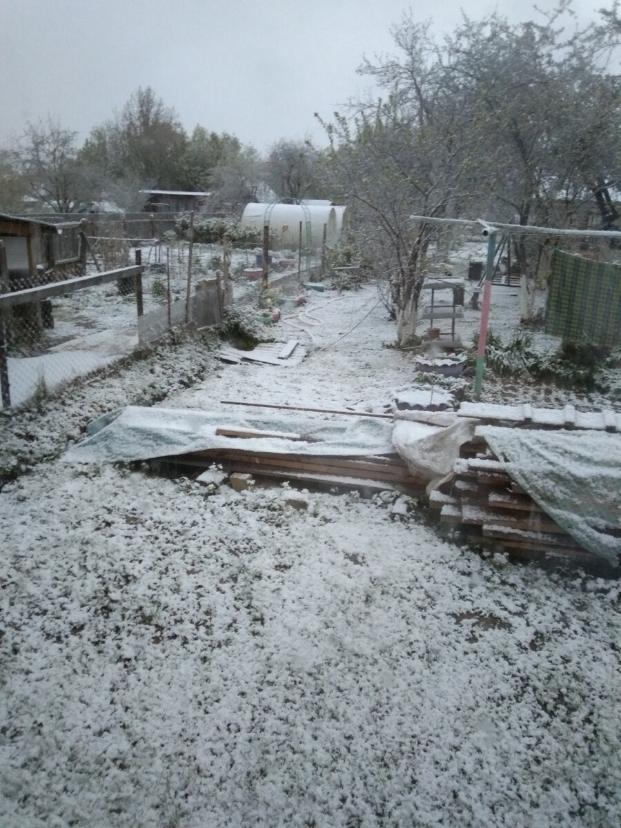 А это буквально через 20 минут.