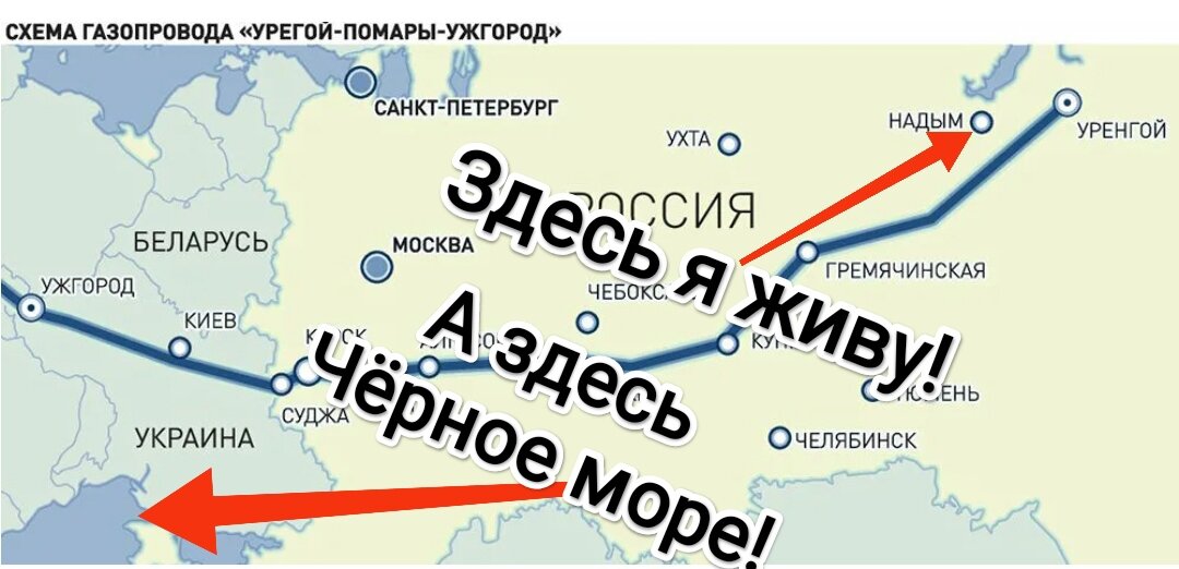 Взято из личного кабинета с целью иллюстрации