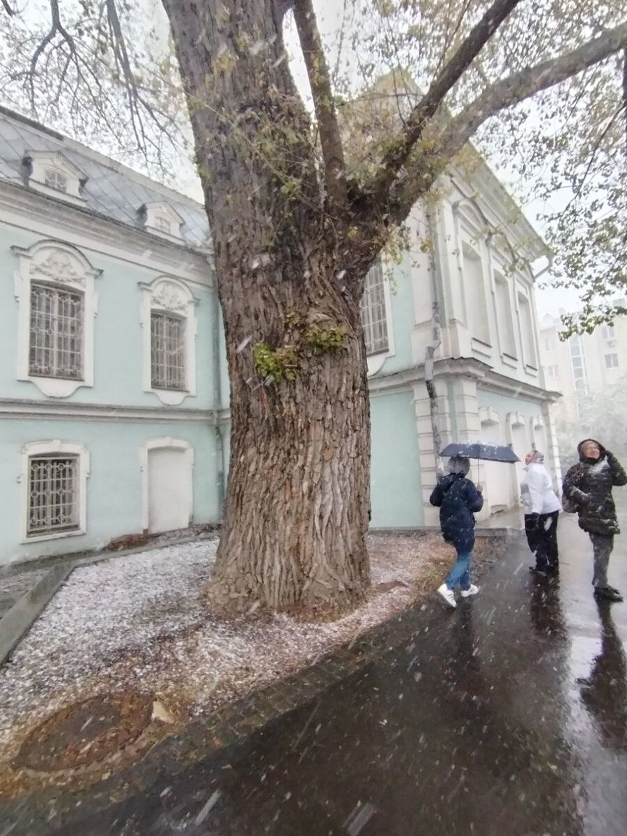 Бесплатная экскурсия по зимней Москве в мае | Пора в путь-дорогу | Дзен