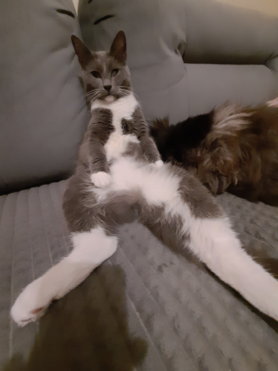 Жан-Батист готовится раздавать советы.