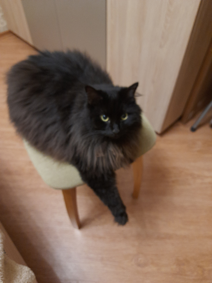 Мой самый любимый мужчина. Да, такой!