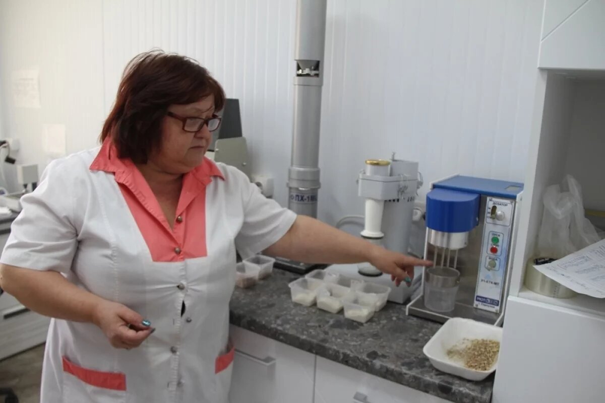    Качество муки на предприятии контролируют, начиная с поля, где растёт пшеница.