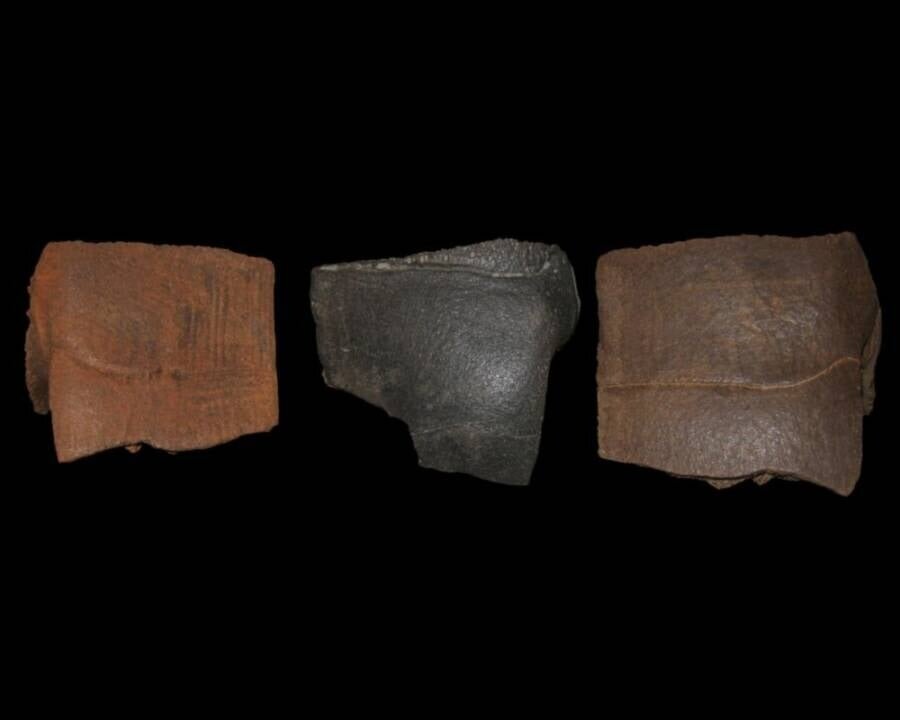    Три фрагмента панциря европейской прудовой черепахи обнаружили в карьере в Германии /Uwe Beye/State Office for Monument Preservation and Archaeology Saxony-Anhalt