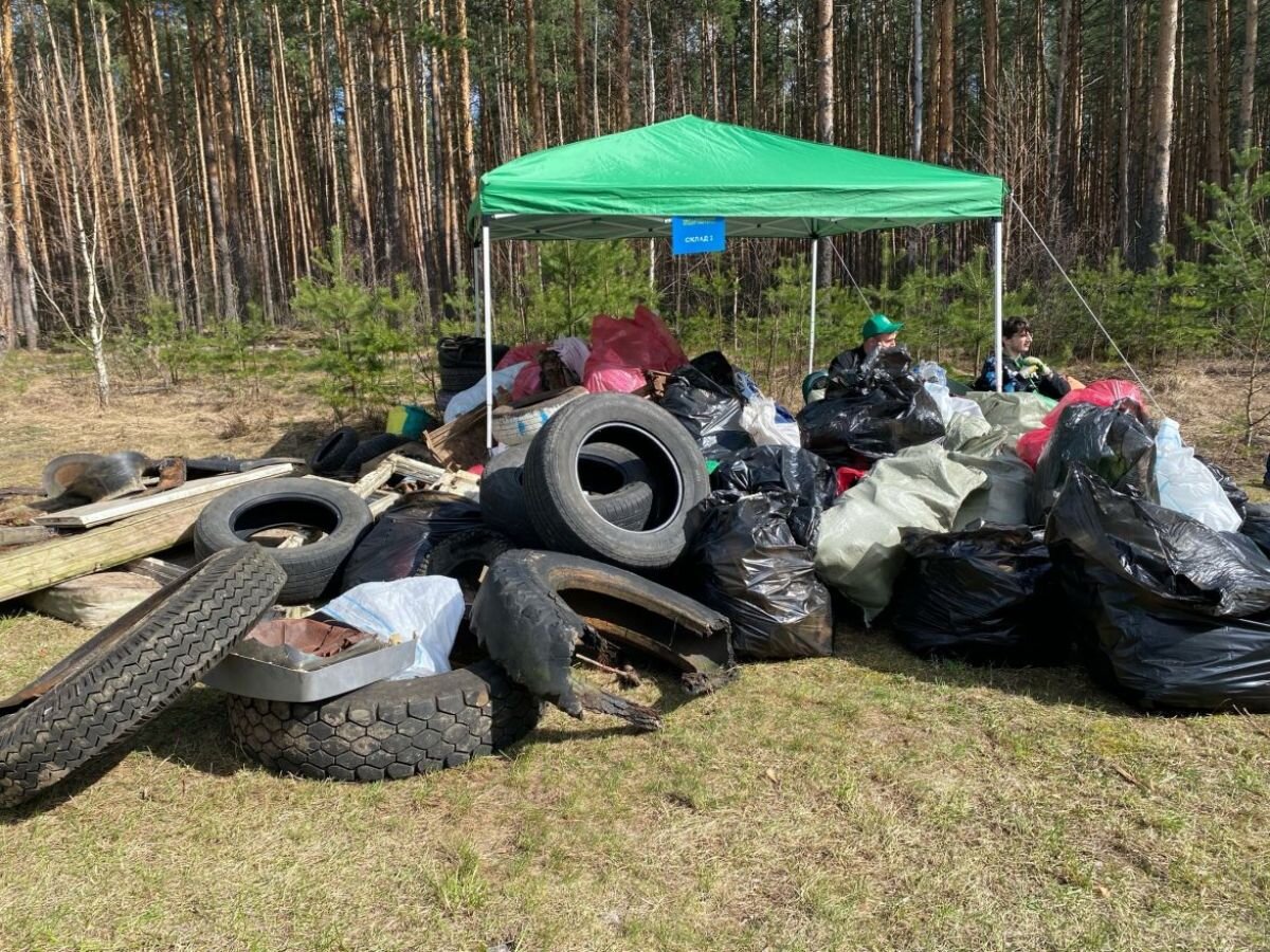 Во Владимирской области в игровом формате очищали и сортировали отходы на  время | «Владимирские новости» | Дзен