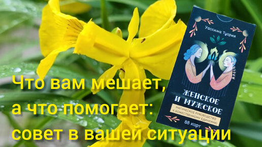 Что вам мешает, а что помогает: совет в вашей ситуации. Оракул женское и мужское