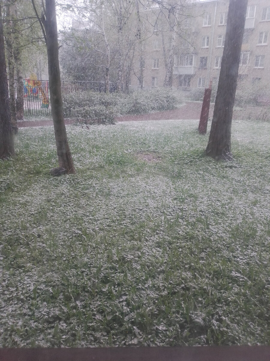 Это начало, дальше хуже🥶