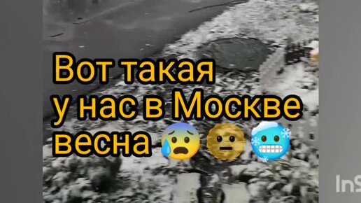 Май 24 года в центральной России - стынет и душа и сердце. Точно глобальное потепление?