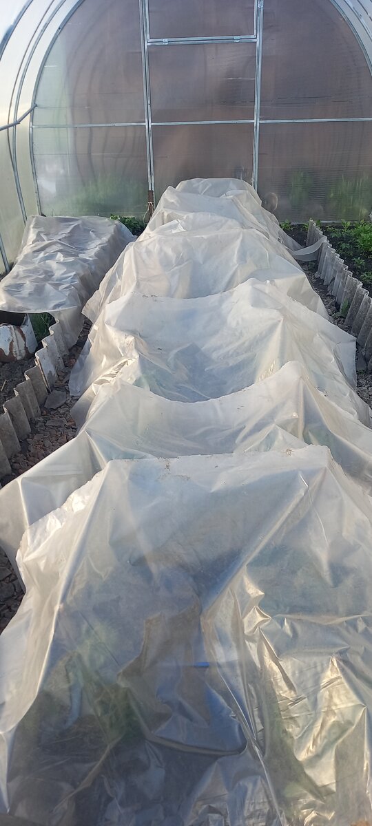 Домик для помидор.