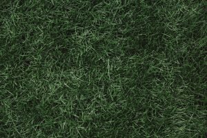    Фото: Общественная служба новостей Артем Верейкин