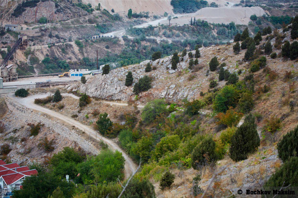 Сашка (часть 1025) | MAX67 - Хранитель Истории | Дзен