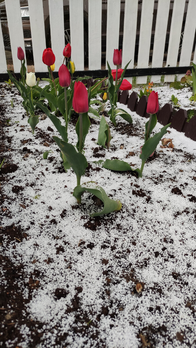 Красиво, конечно, но хотелось бы тепла! 