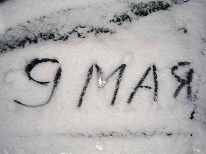 Фото: Новая Сибирь