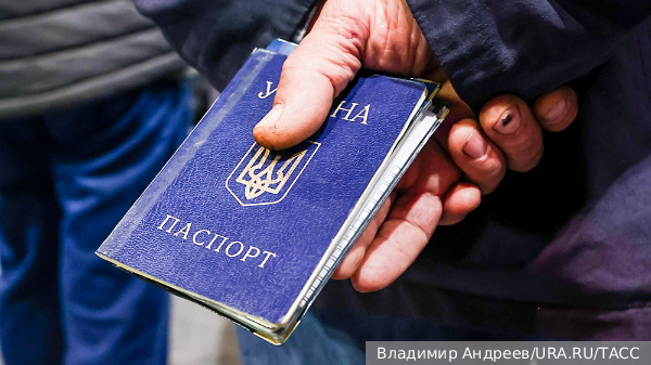     Фото: Владимир Андреев/URA.RU/ТАСС   
 Текст: Дарья Григоренко