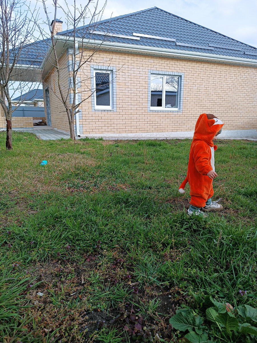 Природа в селе настолько чистая, что возле нашего дома бегает хитрый лис🤣