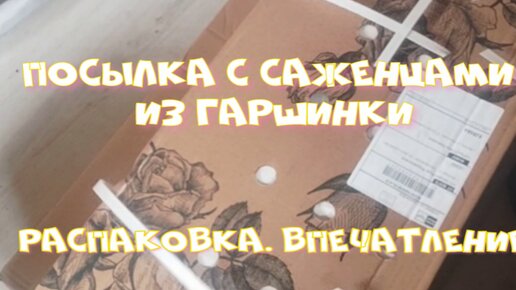 Журнал «Женские секреты» рассказал, где и как встретить Новый год - Новости ЭТНОМИРа