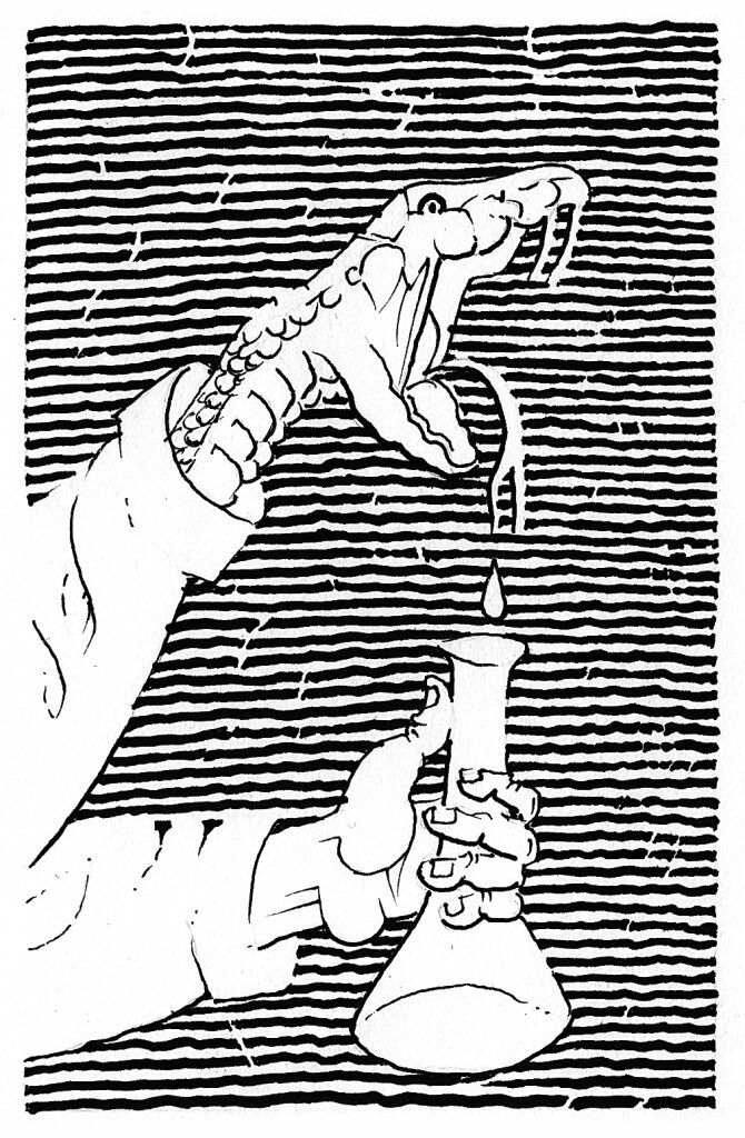 Иллюстрация Петра Перевезенцева