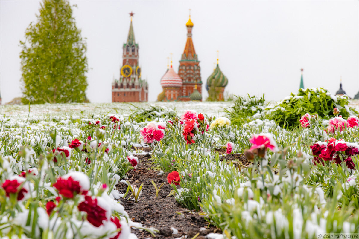 Непогода обрушилась на москвичей, как снег на голову. Причиной майского снегопада в столице стали стратосферный ветер и мощный циклон, центр которого находится над Татарстаном и Пермским краем.