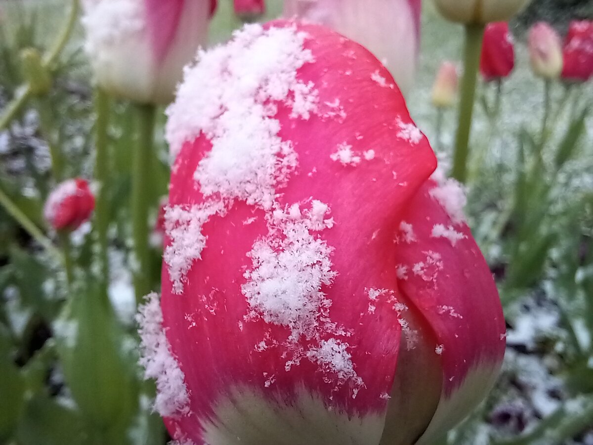 08.05.24г. Москва.