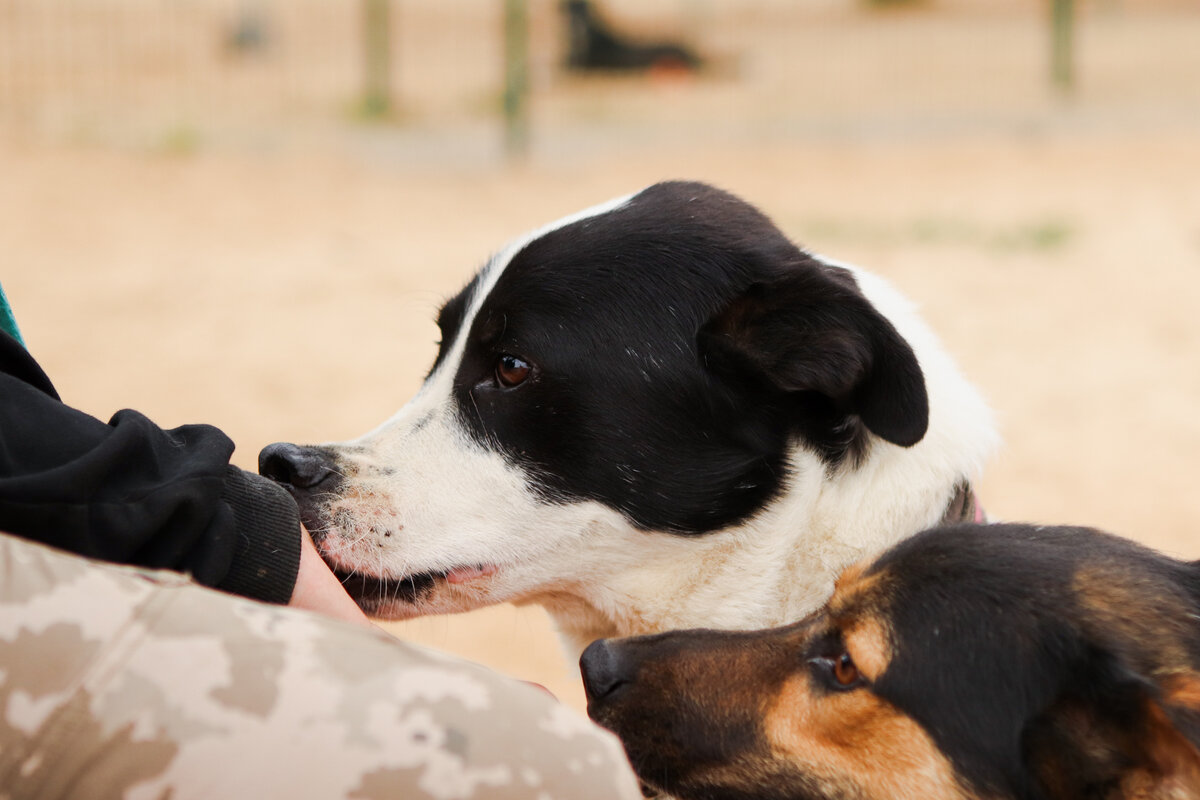 А что еще остается?